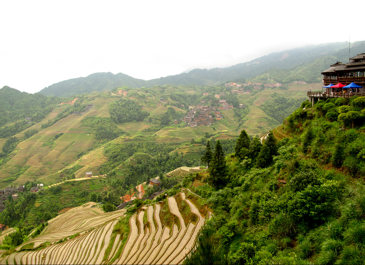 Longji Rice Terraces