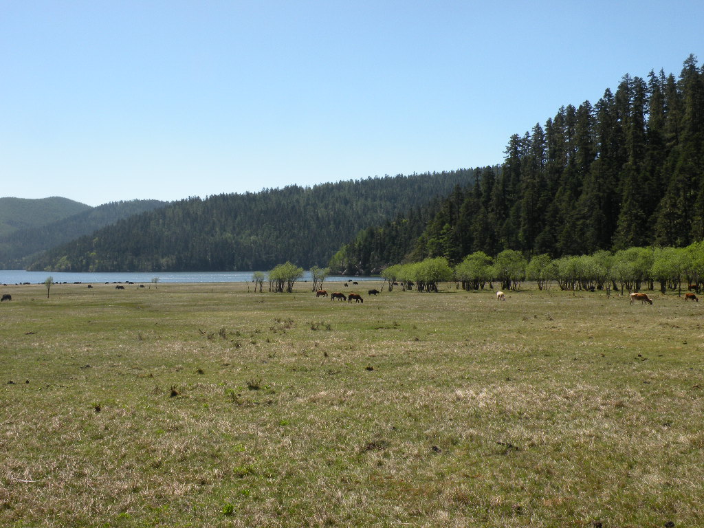 Pudacuo National Park